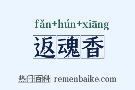返魂香是什么意思的图片